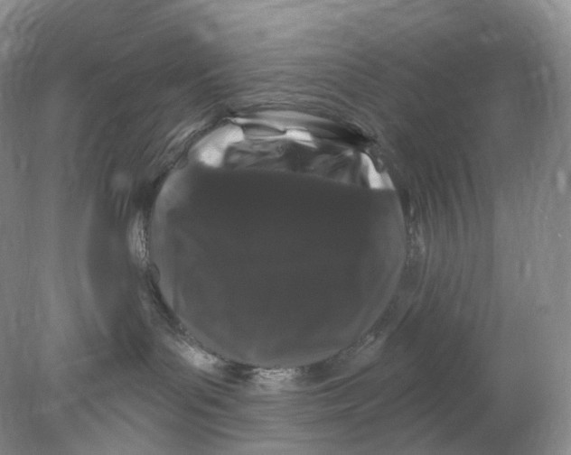 X0000078030143200611171948