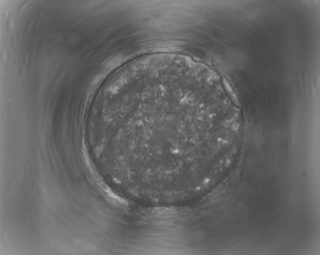 X0000078030145200611171948