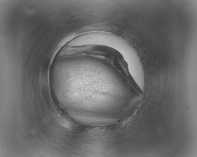 X0000078030148200611171948