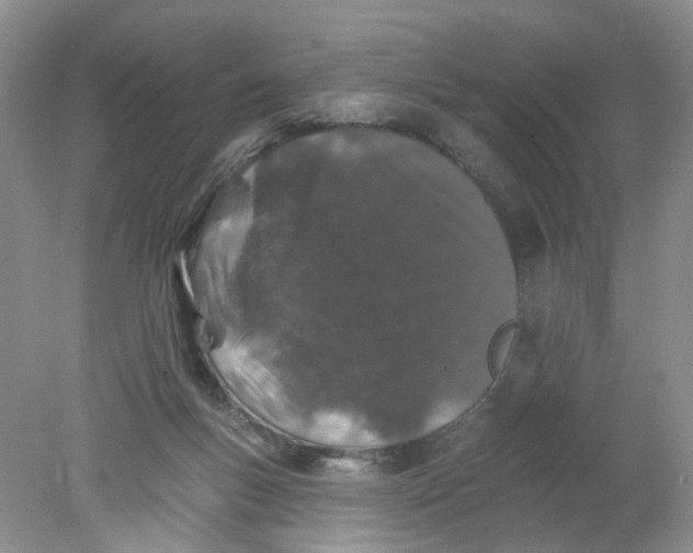 X0000078030167200611171948