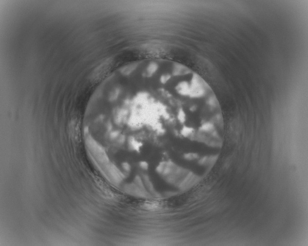 X0000078030177200611171948