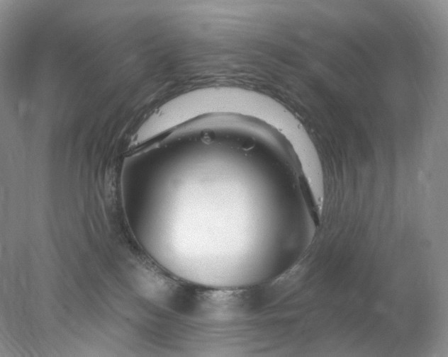X0000078030184200611171948