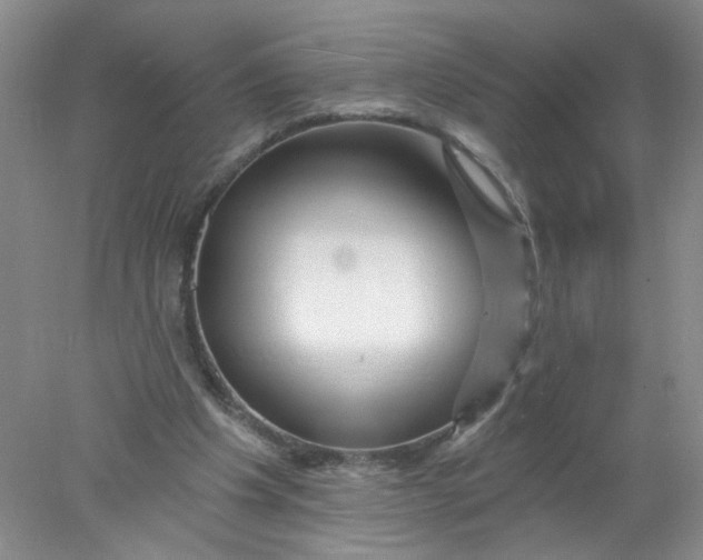 X0000078030201200611171947