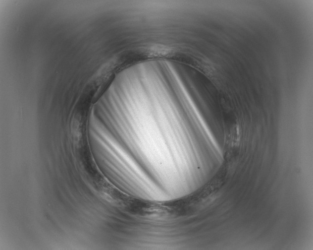 X0000078030215200611171947