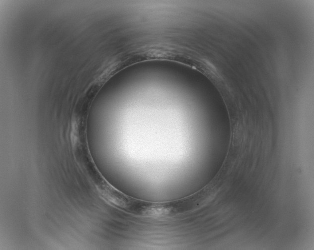 X0000078030217200611171947