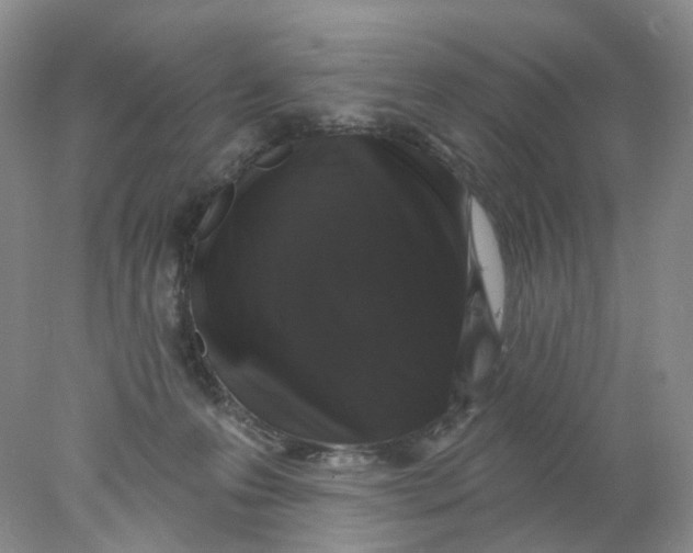 X0000078030223200611171947