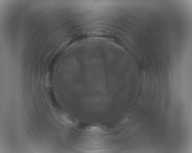 X0000078030224200611171947