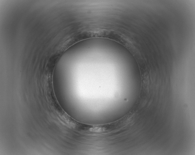 X0000078030225200611171947