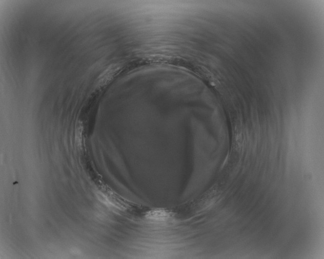 X0000078030231200611171947