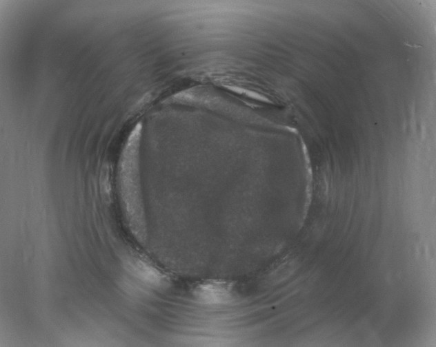 X0000078030232200611171947