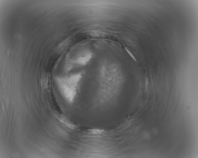 X0000078030233200611171947