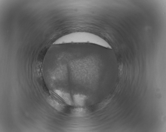 X0000078030237200611171947