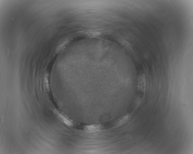 X0000078030238200611171947