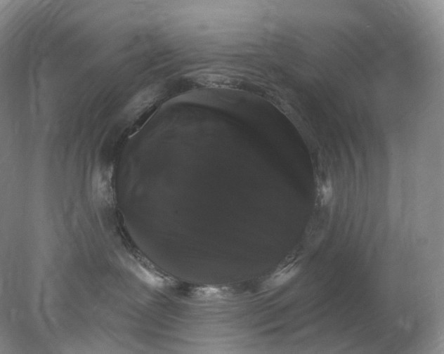 X0000078030239200611171947