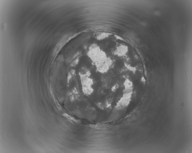 X0000078030241200611171946