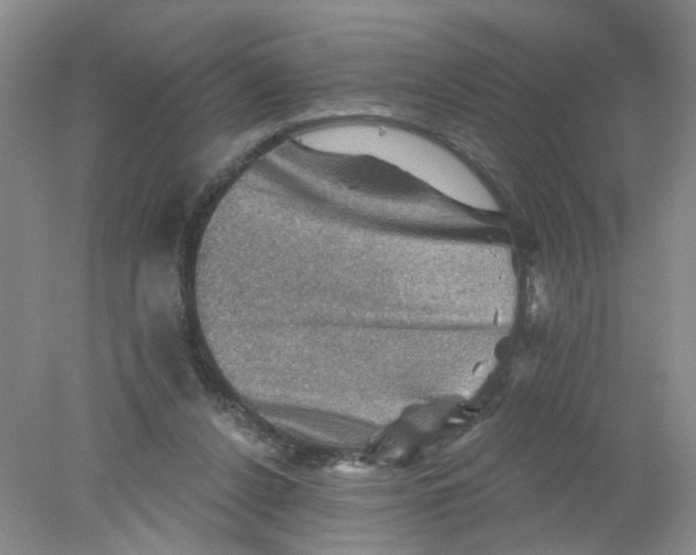 X0000078030256200611171946