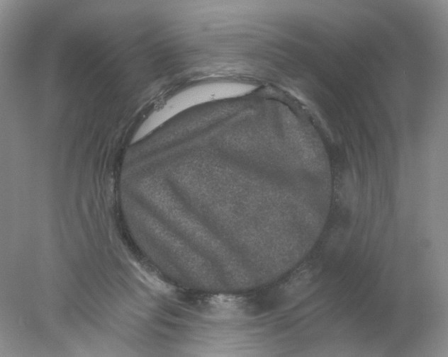 X0000078030261200611171946
