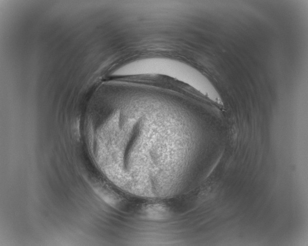 X0000078030262200611171946