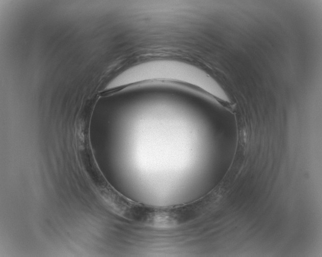 X0000078030264200611171946
