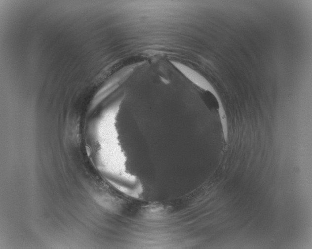 X0000078030267200611171946