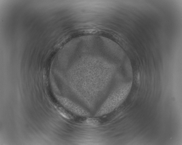 X0000078030270200611171946