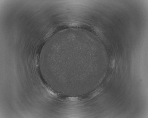 X0000078030273200611171946