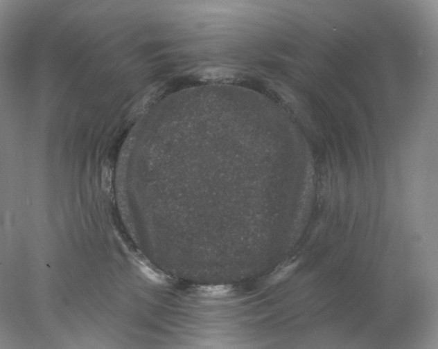 X0000078030281200611171947
