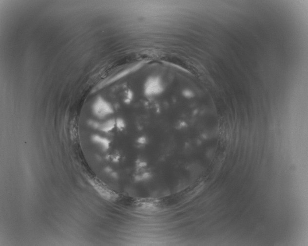 X0000078030285200611171947