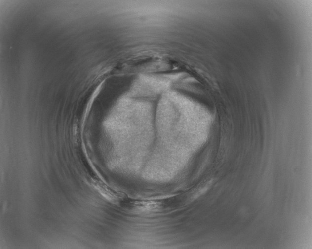X0000078030288200611171947