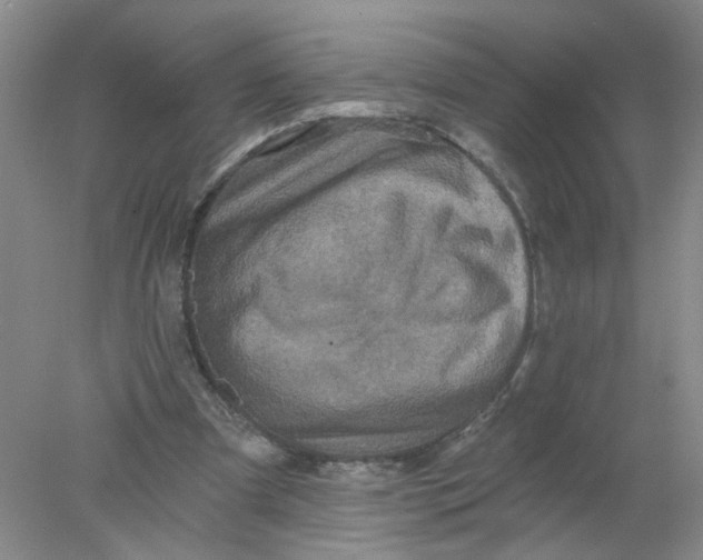 X0000078030297200611171946
