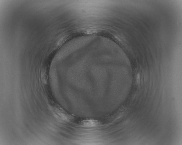 X0000078030316200611171945