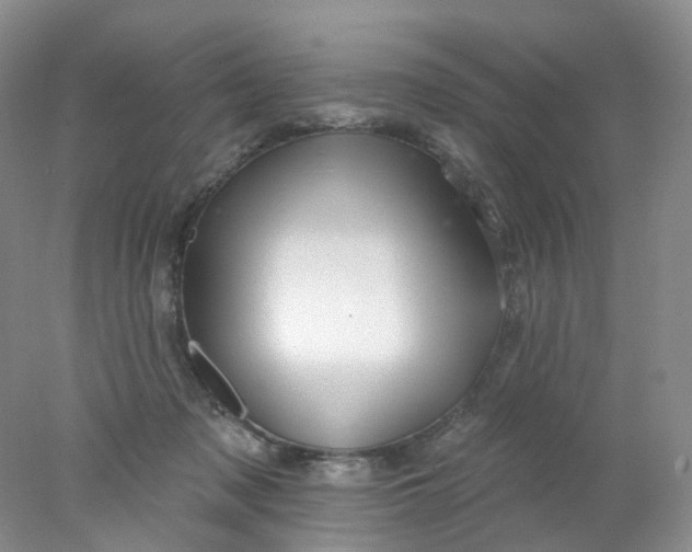 X0000078030317200611171945