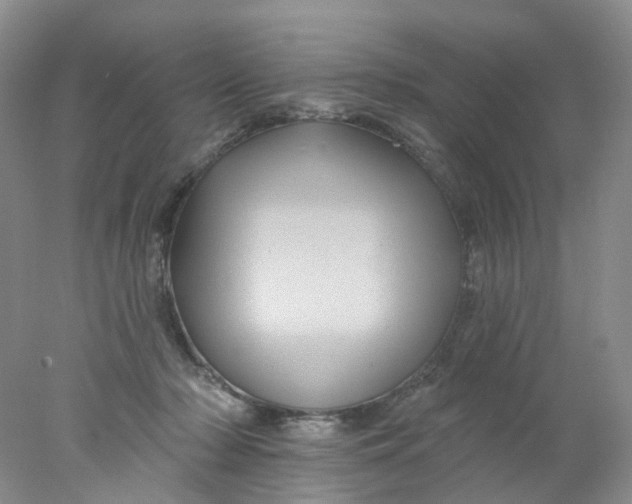 X0000078030318200611171945