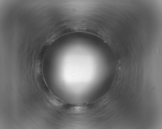 X0000078030323200611171945