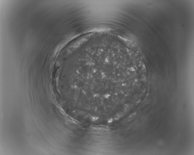 X0000078030337200611171944