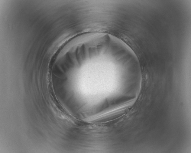 X0000078030338200611171944
