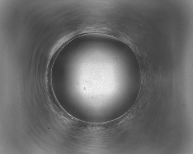 X0000078030340200611171944
