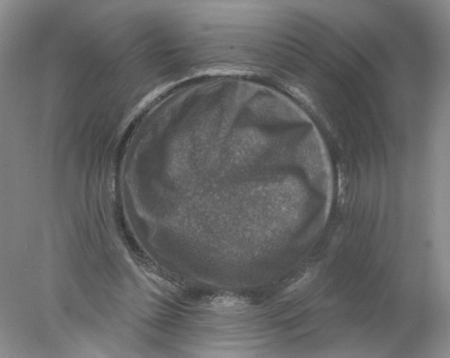 X0000078030348200611171944