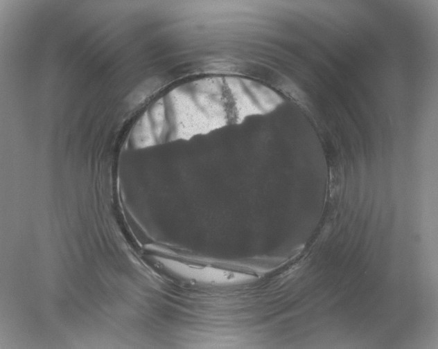 X0000078030349200611171944