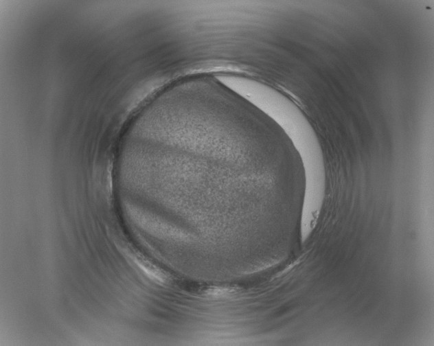 X0000078030350200611171944