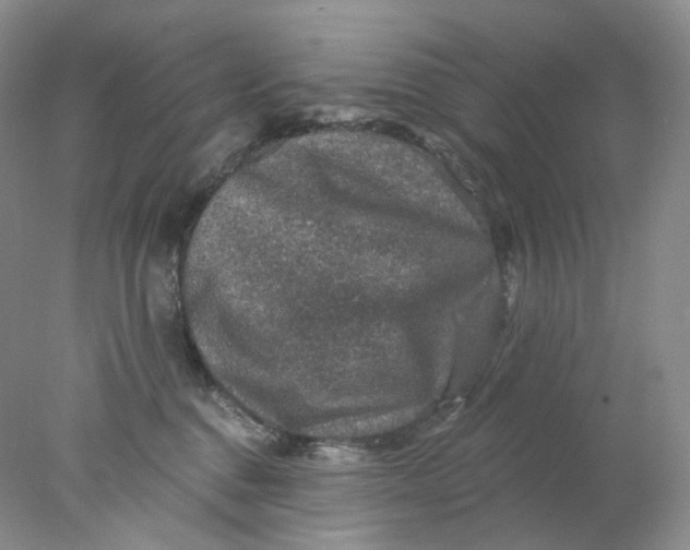 X0000078030376200611171945