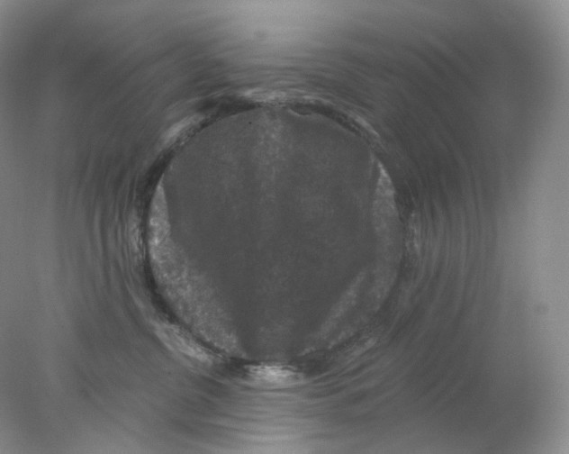 X0000078030380200611171945