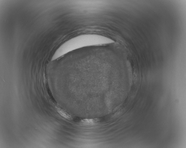 X0000078030381200611171945