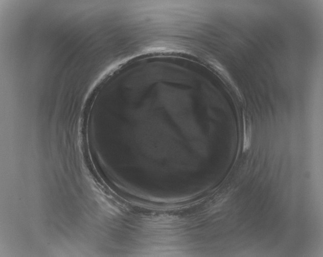 X0000078030387200611171944