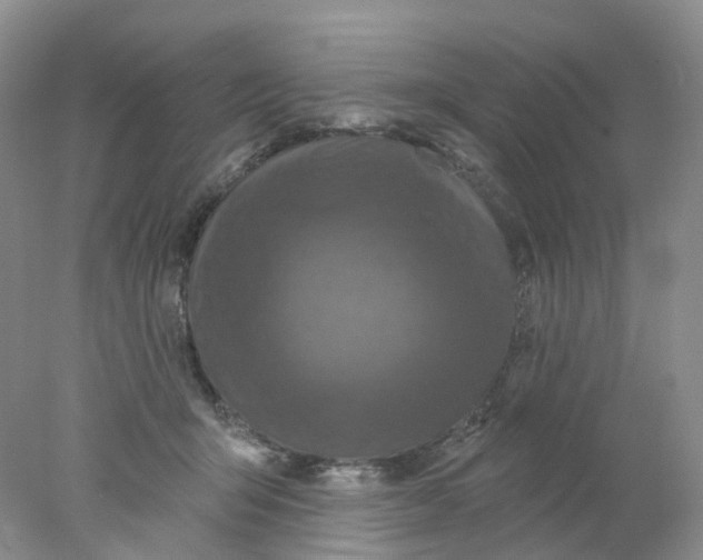 X0000078030415200611171944