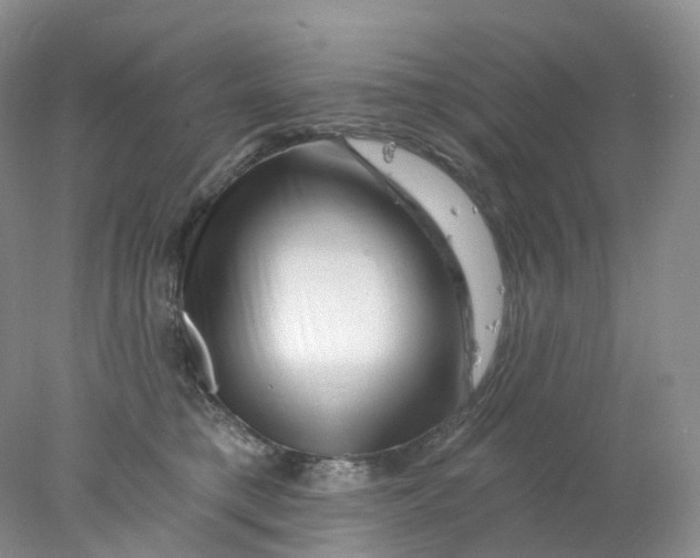 X0000078030421200611171944