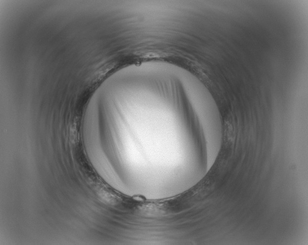X0000078030422200611171944