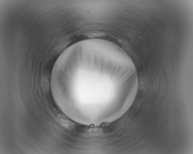 X0000078030426200611171944