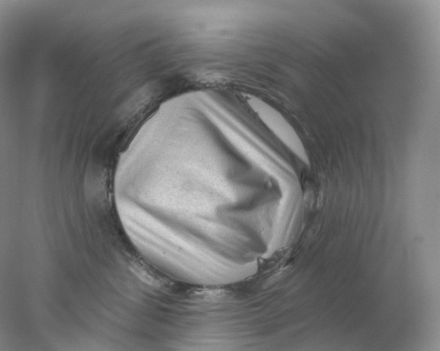 X0000078030428200611171944