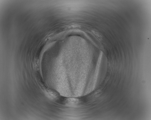 X0000078030429200611171944
